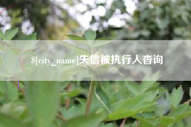六盘水失信被执行人杳询