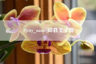 六盘水邱县王子磊