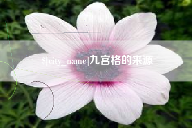 六盘水九宫格的来源