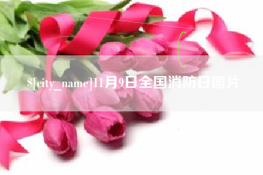 六盘水11月9日全国消防日图片