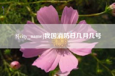 六盘水我国消防日几月几号