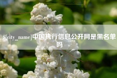 六盘水中国执行信息公开网是黑名单吗