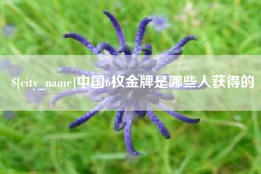 六盘水中国6枚金牌是哪些人获得的