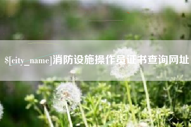 六盘水消防设施操作员证书查询网址