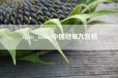 六盘水中国冠军九宫格