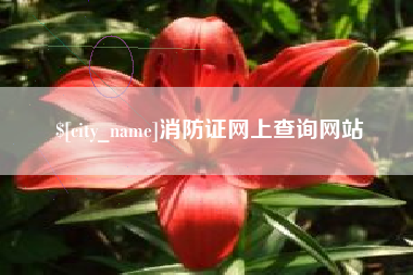 六盘水消防证网上查询网站