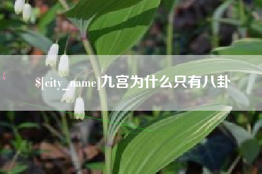 六盘水九宫为什么只有八卦