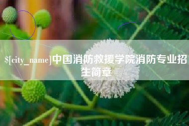 六盘水中国消防救援学院消防专业招生简章