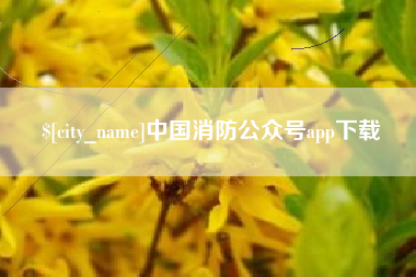 六盘水中国消防公众号app下载