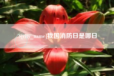 六盘水我国消防日是哪日