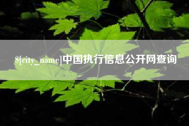 六盘水中国执行信息公开网查询