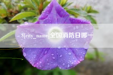 六盘水全国消防日哪一