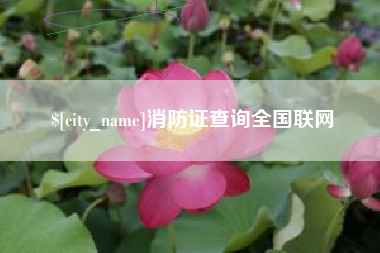 六盘水消防证查询全国联网