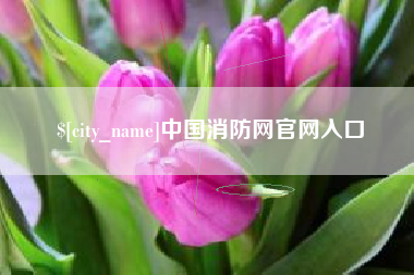 六盘水中国消防网官网入口
