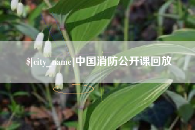 六盘水中国消防公开课回放