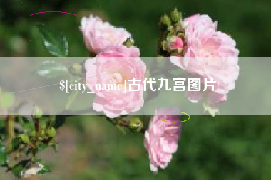 六盘水古代九宫图片