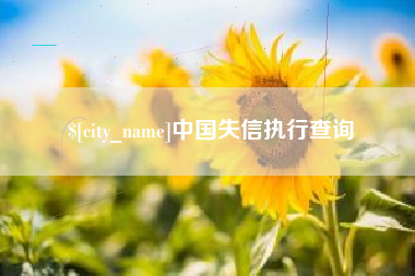 六盘水中国失信执行查询