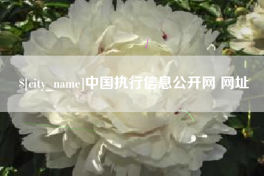 六盘水中国执行信息公开网 网址