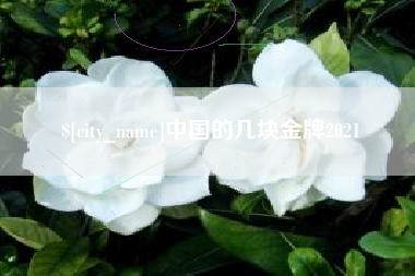 六盘水中国的几块金牌2021