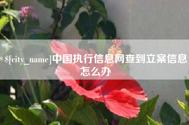 六盘水中国执行信息网查到立案信息怎么办