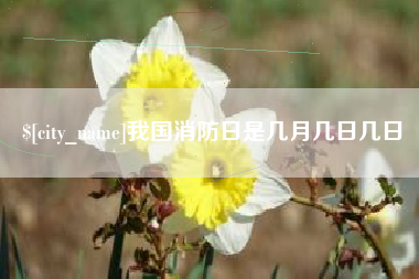 六盘水我国消防日是几月几日几日
