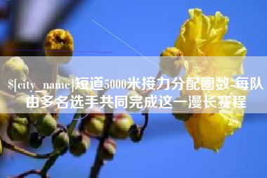 六盘水短道5000米接力分配圈数-每队由多名选手共同完成这一漫长赛程