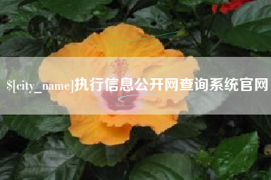 六盘水执行信息公开网查询系统官网