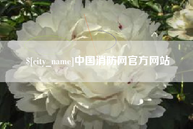 六盘水中国消防网官方网站