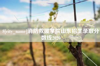 六盘水消防救援学院山东招生录取分数线2020