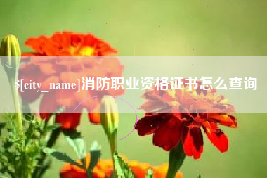 六盘水消防职业资格证书怎么查询