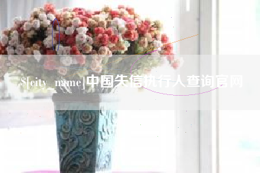 六盘水中国失信执行人查询官网