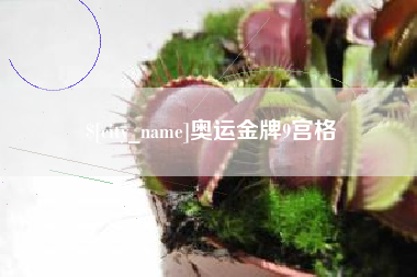 六盘水奥运金牌9宫格