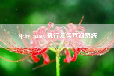 六盘水执行公告查询系统