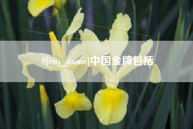 六盘水中国金牌包括