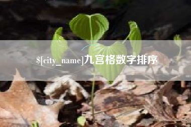 六盘水九宫格数字排序