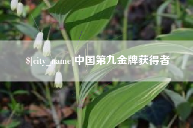 六盘水中国第九金牌获得者