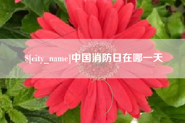 六盘水中国消防日在哪一天