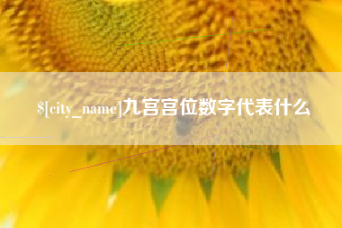 六盘水九宫宫位数字代表什么