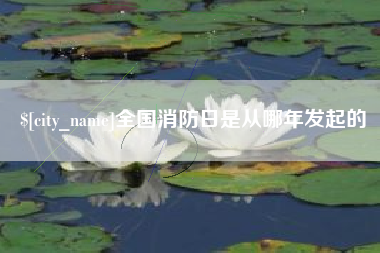 六盘水全国消防日是从哪年发起的
