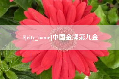 六盘水中国金牌第九金