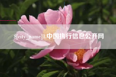 六盘水1.中国执行信息公开网