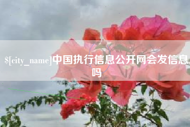 六盘水中国执行信息公开网会发信息吗