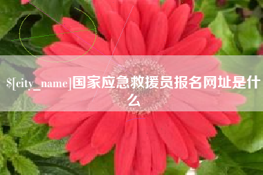 六盘水国家应急救援员报名网址是什么
