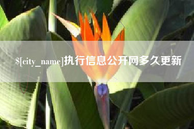 六盘水执行信息公开网多久更新