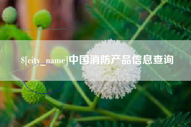 六盘水中国消防产品信息查询