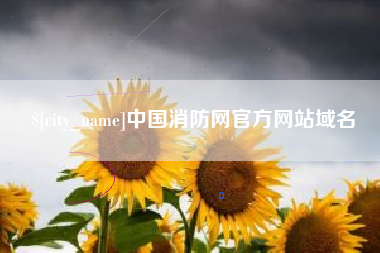 六盘水中国消防网官方网站域名