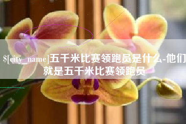 六盘水五千米比赛领跑员是什么-他们就是五千米比赛领跑员