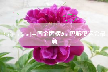 六盘水中国金牌榜2024巴黎奥运会最新