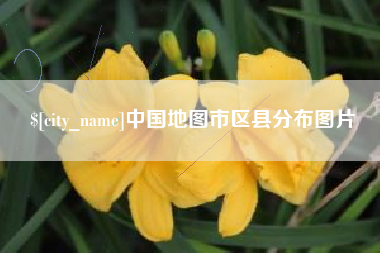 六盘水中国地图市区县分布图片
