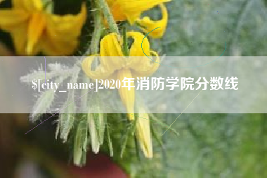 六盘水2020年消防学院分数线
